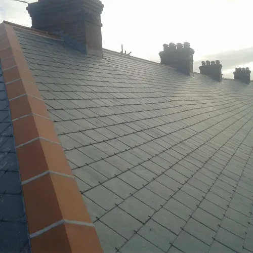 Recent roof project